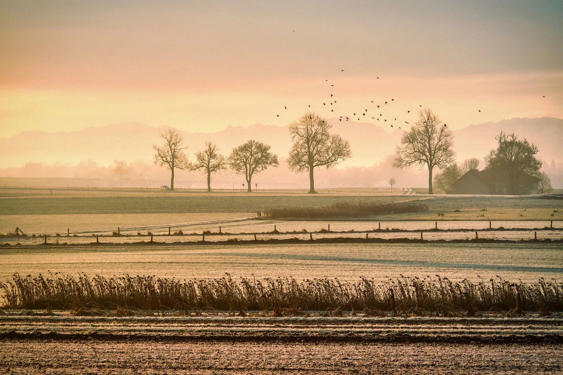 Open fields with a farmhouse and birds flying as the sun sets